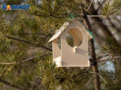 Новое аномальное потепление надвигается на Волгоградскую область