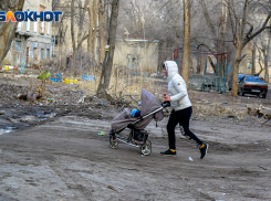 ЛДПР предложила освободить детей от платы за вывоз мусора