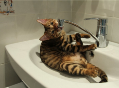 В Ворошиловском районе на два дня отключат воду