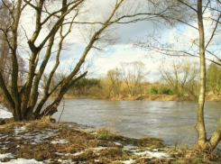 Весеннее потепление обещают жителям Волгоградской области синоптики
