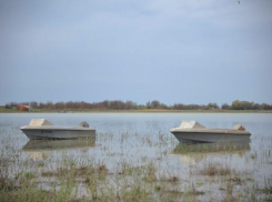 В Волгоградской области не замечено радиационной активности 