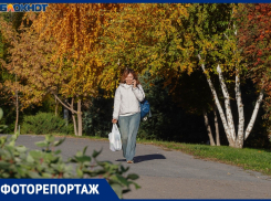 Мега-потепление накрыло Волгоград в конце октября: смотрим на красивую осень