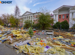 Способы воскресить снесенный рынок на Новороссийской предложили известные волгоградцы