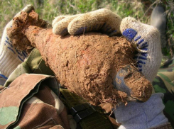 Под Волгоградом грибница обнаружила в лесу 22 мины