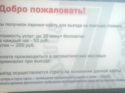 Мэрия Волгограда опозорила себя ошибками в паркинг-картах 