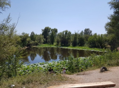 Тело жителя Калмыкии обнаружили на озере под Волгоградом