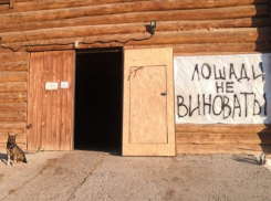 В Волгограде отложили снос конюшен в «Сосновом бору»