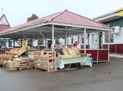 Под  Волгоградом  чиновник и директор рынка устраивали незаконные торги 