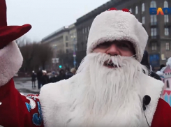 Роспотребнадзор внезапно нагрянет на елки в Волгограде