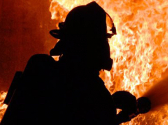 Обгоревший труп обнаружен в поселке Суходол Волгоградской области