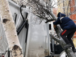 Из-за застрявшей мусоровозки посреди двора волгоградцы остались один на один с заваленными баками