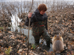 Древнейший хищник прячется в волгоградских подземных лабиринтах