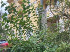 «Придётся раздвигать ручками!»: платная парковка с сюрпризом появилась в Волгограде