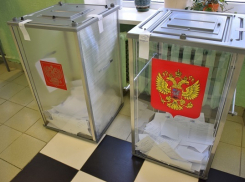 В Волгограде бюджетников пригоняли для голосования на праймериз, - депутат