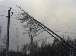 Массовые обрывы электросетей из-за урагана произошли в Волгоградской области