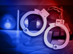 В Камышине задержаны подозреваемые в  двойном убийстве в Рождество