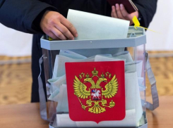 Из-за «жуликов на выборах» политическая партия отказалась от избирательной кампании в Волгограде