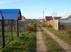 Волгоградские энергетики и садоводы региона достигли предварительных договорённостей по выходу из кризисной ситуации