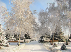 Резкое потепление на 20 градусов ожидает жителей Волгограда 