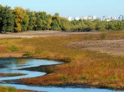 В воды острова Сарпинского в Волгограде искусственно закачают 2 млн кубометров воды