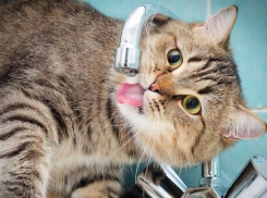 Жители запада Волгограда возмущены отсутствием воды