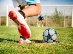 Отчет облспорта: волгоградский «Ротор» проигрывает чаще, чем побеждает