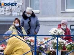 Коронавирус в Волгограде 23 октября:  семьи сидят взаперти без тестов, цены на КТ растут