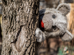 Пьяный отец на «семерке» сбил 3-летнюю дочь и сбежал в Волгоградской области: у ребенка тяжелые травмы