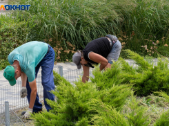 В Волгоградской области готовятся к введению локдауна