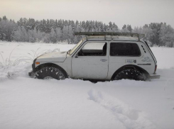 Фермер из Волгоградской области погиб в поисках отбившихся от стада овец 