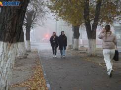 Облачно с прояснением и без осадков: погода в Волгограде на 25 ноября