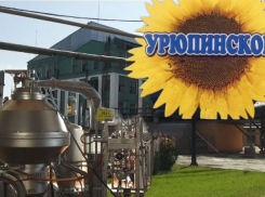 Китайцы ценят как элитный продукт: завод-миллиардер прославил столицу российской глубинки
