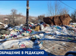 Растущая гора мусора годами захватывает СНТ в Волгограде