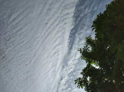 В Волгоградской области снова обещают грозу