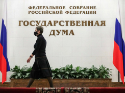 Во сколько обходится мандат в Госдуму, назвал волгоградский эксперт