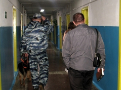 Кинологи с розыскными собаками проверяют студенческие общежития в Волгограде