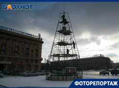 Монтаж новогодней ели начался на площади Павших борцов в Волгограде
