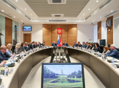 «Мы не могли отказать»: в Волгоградской области не будет референдума о времени