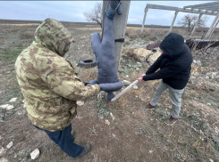 Подвесили за ногу и запытали до смерти сторожа в Волгоградской области