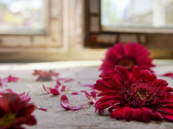 Мужчина убил экс-возлюбленную табуреткой в усыпанной цветами квартире на юге Волгограда 