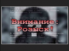 Под Волгоградом полицейские всю ночь искали сбежавших братьев