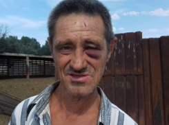 Гражданские активисты нашли рабов в полях под Волгоградом