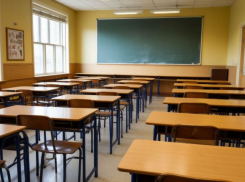 Дистант ввели в волгоградских школах из-за морозов