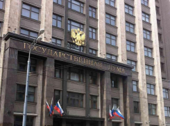 Российское экспертное сообщество подвело итоги работы Госдумы: волгоградцы могут гордиться своими депутатами