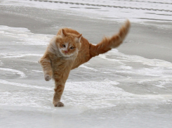 Штормовое сообщение объявлено в Волгограде и области