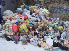 Волгоградцы показали на видео двор, в котором мусор последний раз вывозили в прошлом году