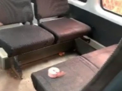 На видео сняли последствия ДТП с маршруткой №29С в Волгограде, где пострадали шесть человек