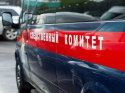 Тело 13-летней девочки обнаружено на трассе под Волгоградом 