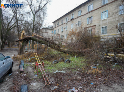 Волгоградцев спасают от беспредела УК: куда обращаться