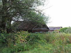 Четыре месяца держал у себя дома труп житель Серафимовича